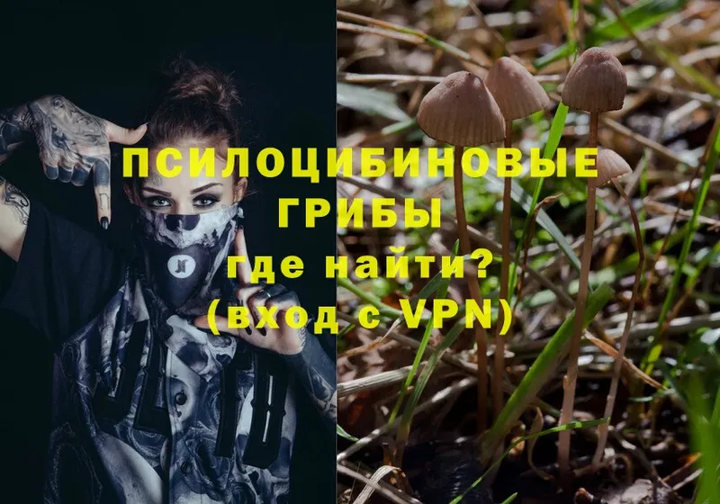 Псилоцибиновые грибы Magic Shrooms  как найти наркотики  Бутурлиновка 